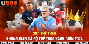 SBO Thể Thao - Không Gian Cá Độ Thể Thao Xanh Chín 2024