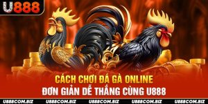 Cách Chơi Đá Gà Online Đơn Giản Dễ Thắng Cùng U888
