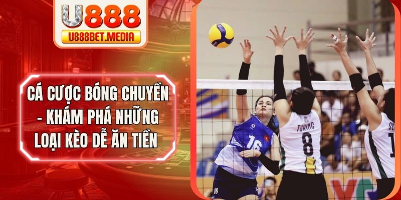 Cá Cược Bóng Chuyền - Khám Phá Những Loại Kèo Dễ Ăn Tiền