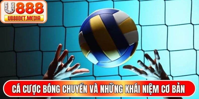 Cá cược bóng chuyền và những khái niệm cơ bản