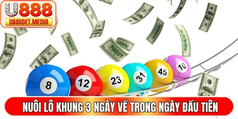 Thắc mắc nuôi lô khung 3 ngày về trong ngày đầu tiên