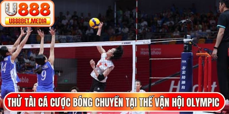 Thử tài cá cược bóng chuyền tại thế vận hội Olympic